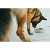 img-d9f2ab0b-6476-4ac6-842f-320d973de154.png