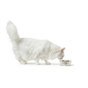 img-894b3a73-4f09-41d4-978f-5aa49f48769f.png