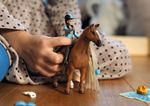 schleich-HORSE-CLUB-Sofia’s-Beauties-Starter-Set-Kim-and-Caramelo