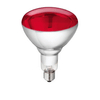 img-ec13b959-b69e-46c0-b036-902a43b3a066.png