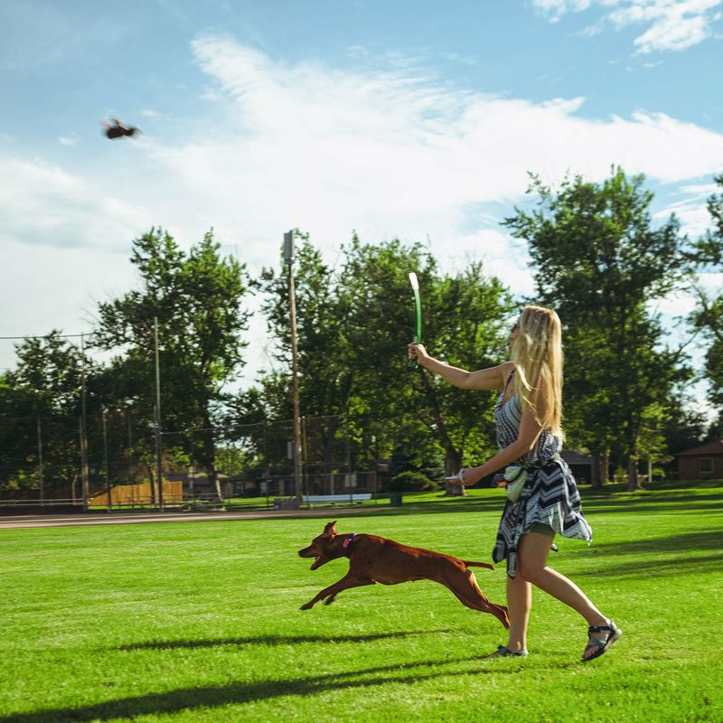 Giocattoli-per-cani-Hunter