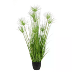 Pianta DeserVerde con Vaso X9F H120 (4 Pezzi) - ECLISSE