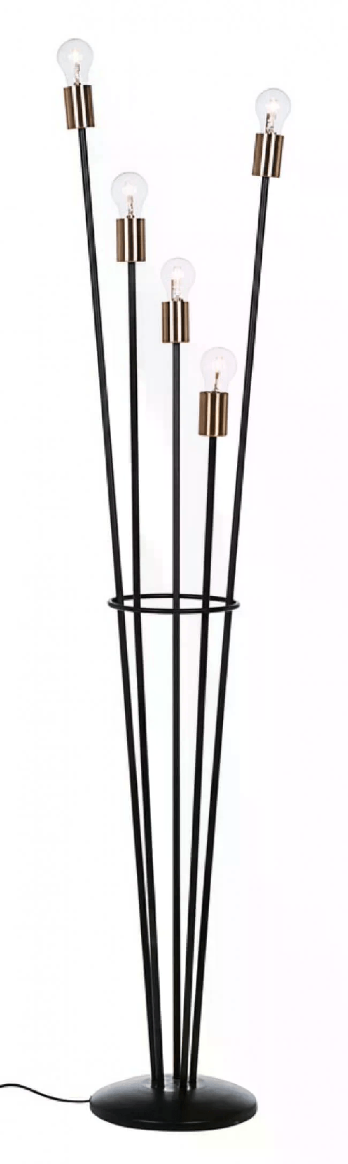 img-00f7077b-e455-43a7-aee6-41cf598a2716.png