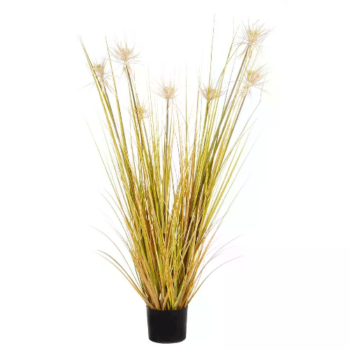Pianta DeserPaglia con Vaso X7F H120 (4 Pezzi) - ECLISSE