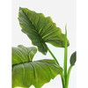 img-96c04ab2-3e2c-4f50-8f41-ea9960f39b2e.png