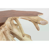 img-7fd4aa03-276d-47a2-9cb2-513c1ae1243c.png