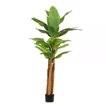 Pianta con Vaso 22Foglie H240 - ZENITALE
