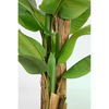 img-46f80dfc-ab53-46ba-8d28-61a5fa7074de.png