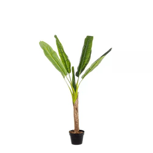 img-eb7b92b3-2291-4ec7-b41a-eaa9964ec7ad.png