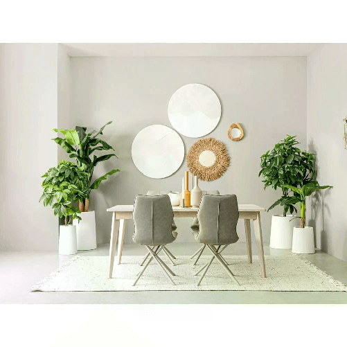 img-c14dffb7-4a56-4137-ac38-8bb612aff0eb.png
