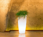 img-f2fdfccf-bf06-4b5f-9fac-4f2ef8c58acb.png