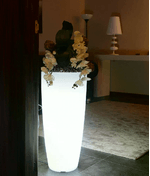 img-06393916-f065-4c86-b644-2d91b231273c.png