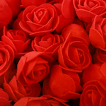 img-cbb01be2-001b-4504-84ef-8dc4efbd071c.png