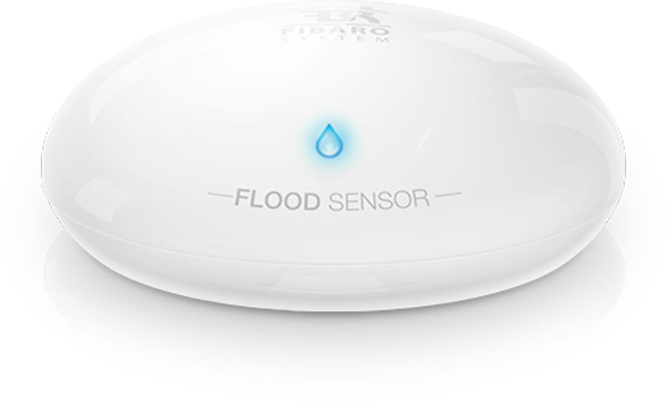 Fibaro FGFS-101