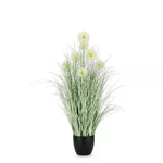Pianta Cebolla Bianca con Vaso X7F H105 (4 Pezzi) - IMPERIALE