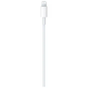Apple-Cavo-da-USB-C-a-lightning-1mt