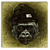 img-3ad67420-94f8-476a-ba5a-83a5f9ab0024.png