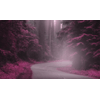 img-9aa95c81-79e5-4c39-ab3b-1e146cad0a4f.png