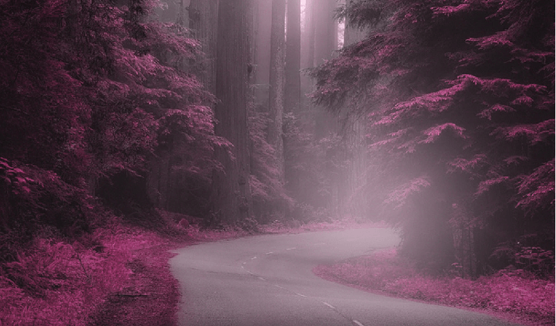 img-9aa95c81-79e5-4c39-ab3b-1e146cad0a4f.png