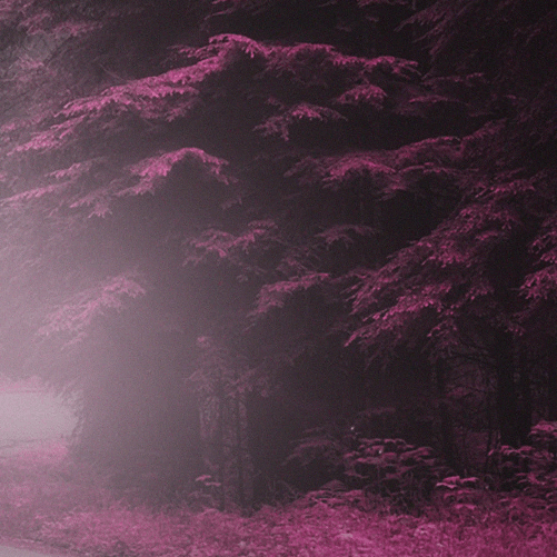img-7358cd24-0775-44fb-bf7d-35beef9b37d2.png