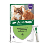 advantage - 4pip 0,8 millilitri spoton