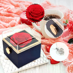 img-be8b312a-2738-490b-93dd-07c7187e7ea3.png