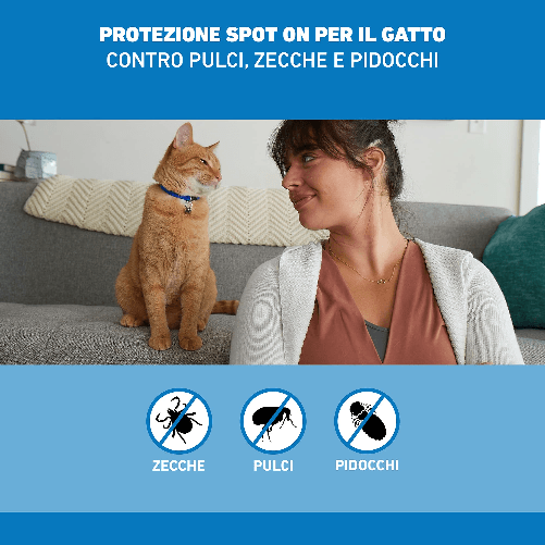 FRONTLINE-Spot-On-4-Pipette-Gatto-Antiparassitario-per-Gatti-e-Gattini-di-Lunga-Durata-Protegge-da-Zecche-Pulci-e-Pidocchi-Antipulci-In-Confezione-da-4-Pipette-da-0.5-ml