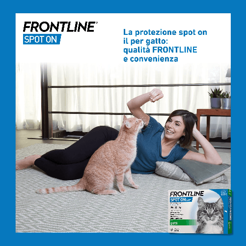 FRONTLINE-Spot-On-4-Pipette-Gatto-Antiparassitario-per-Gatti-e-Gattini-di-Lunga-Durata-Protegge-da-Zecche-Pulci-e-Pidocchi-Antipulci-In-Confezione-da-4-Pipette-da-0.5-ml