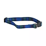 Il Campo Collare Cani Nylon Mm 10 Cm 30