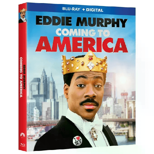 img-a0842a91-c725-474e-a0c8-3f2859fed7d0.png