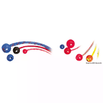 Stopper Nylon Foro Ø 4 Mm Nero Osculati