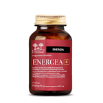 Salugea ENERGEA+ Salugea - Integratore Energizzante 100% Naturale - Con Spirulina, Shilajit, Pappa Reale, Ginseng