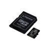 Kingston-Technology-Canvas-Select-Plus-256-GB-MicroSDXC-UHS-I-Classe-10