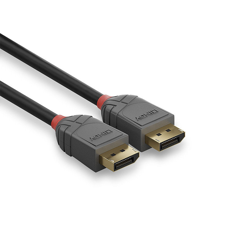 LINDY Nero Linea 1 M Display Porte Cavo Maschio A Digitale 2.70 Gbs