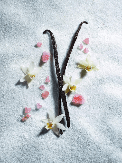 Juliette-Has-a-Gun-Vanilla-Vibes-Eau-de-Parfum---100-ml