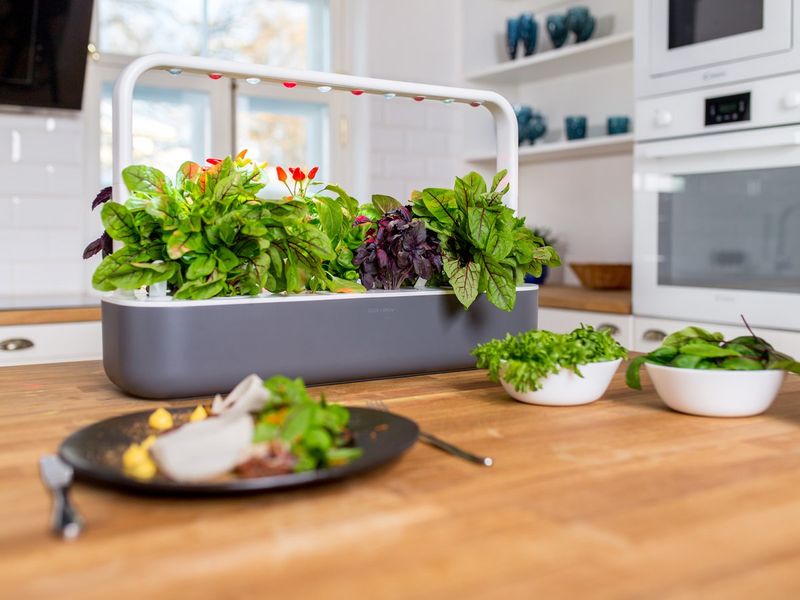 Click-and-Grow-Smart-Garden-9---Grigio