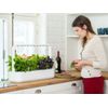 Click-and-Grow-Smart-Garden-9---Grigio