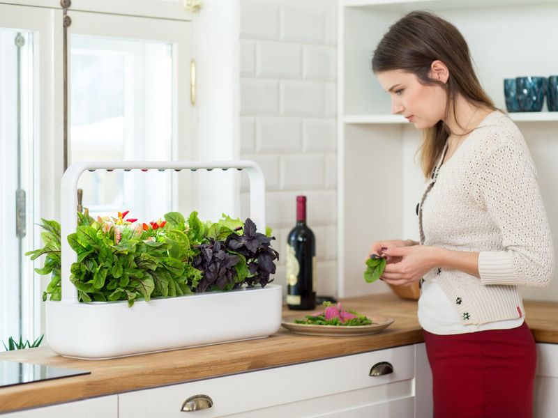 Click-and-Grow-Smart-Garden-9---Grigio