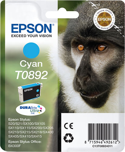 EPSON-CARTUCCIA-INCHIOSTRO-A-PIGMENTI-CIANO-EPSON-DURABRITE-ULTRA-BLISTER-RS