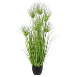 Pianta DeserVerde con Vaso X7F H90 (6 Pezzi) - ECLISSE