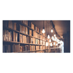 img-3153bcb8-712e-4b81-a2fc-544fecab8b70.png