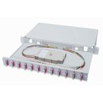 Digitus Pannello Estraibile 19 Per Fibra Ottica Con 12 Connettori Sc Duplex Om4