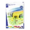 Staedtler-2430-Confezione-da-36-gessetti-pastello-morbidi---Eccellente-per-sfumare-i-colori---Solidita-alla-luce---Colori-assortiti
