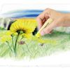 Staedtler-2430-Confezione-da-36-gessetti-pastello-morbidi---Eccellente-per-sfumare-i-colori---Solidita-alla-luce---Colori-assortiti