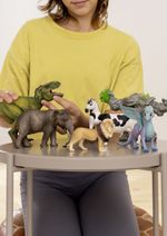 schleich-Farm-World-13797-action-figure-giocattolo