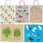 REX SADOCH Shopper carta kraft c/manici carta ritorta 36x41x12cm fantasie ass. Rex Sadoch