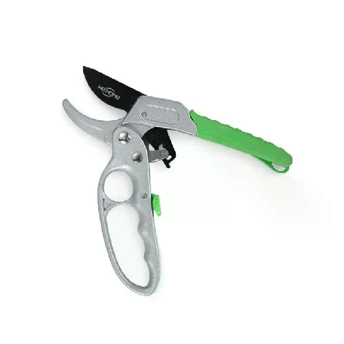 img-c7efae4f-000d-4c89-bdd7-d838545f9506.png