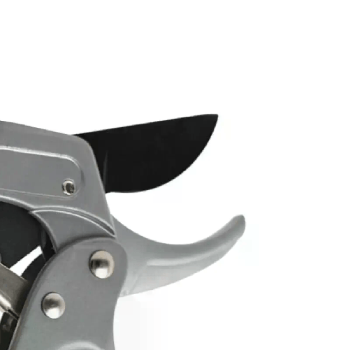 img-724cc529-8ce1-492f-a99d-00e95516d585.png