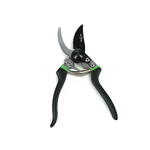 img-d022d94d-b7b3-4853-bc0a-2e63d3a2e440.png