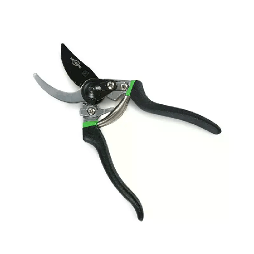 img-4e1a81ad-e248-4d4e-bc09-8125f8919af0.png
